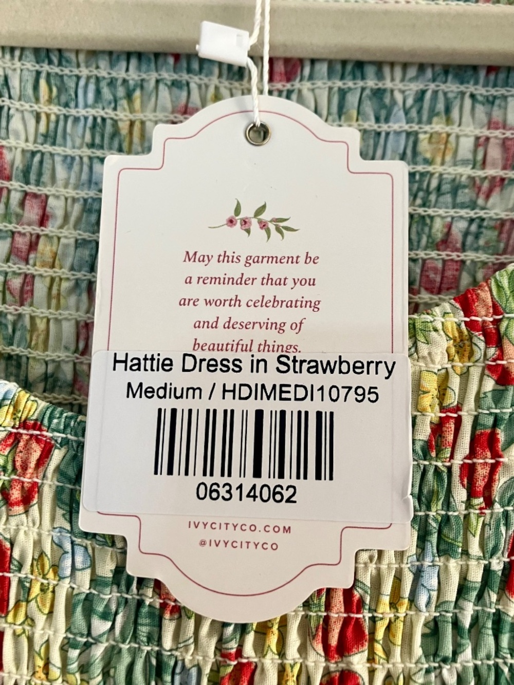 NEW Ivy City Hattie in Strawberry print dress - Picture 3 of 5